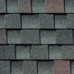 timberline shingle link